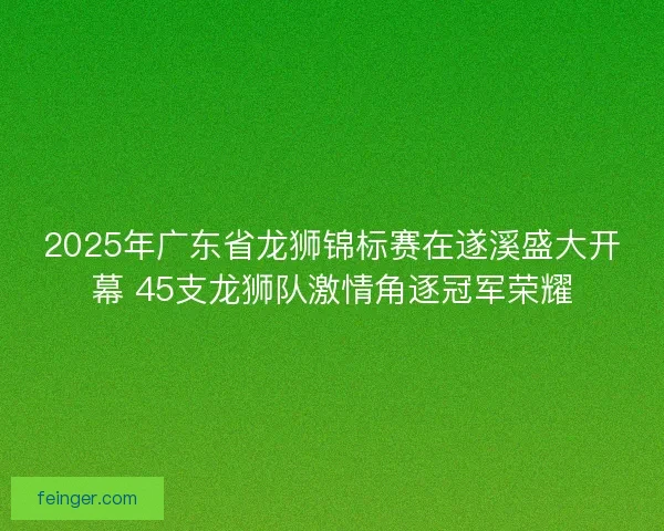 2025年广东省龙狮锦标赛在遂溪盛大开幕 45支龙狮队激情角逐冠军荣耀 2025年广东省龙狮锦标赛在遂溪盛大开幕 45支龙狮队激情角逐冠军荣耀